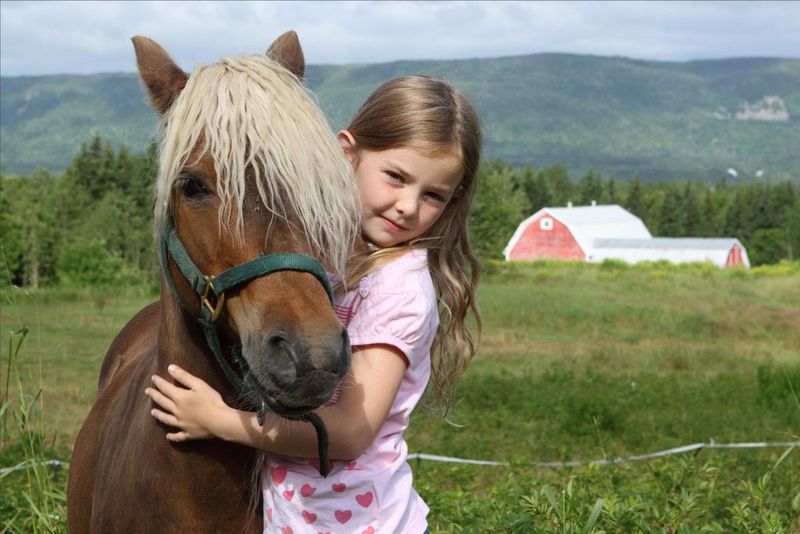 The same shot of a girl hugging a pony with the Standard Picture Style applied, producing more vivid colours and greater edge sharpening.
