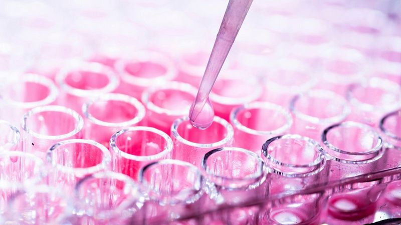 Smoothing the way to lifesaving stem cells