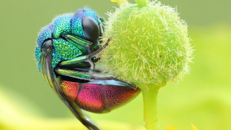 Supporti da fonti sostenibili