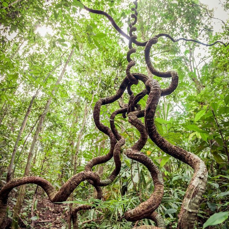 Umweltbroschüre Canon Imaging Supplies