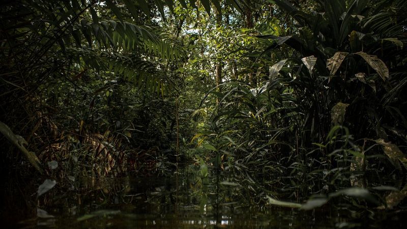 In Lucy’s name: how a mother turned tragedy into a lifesaving charity