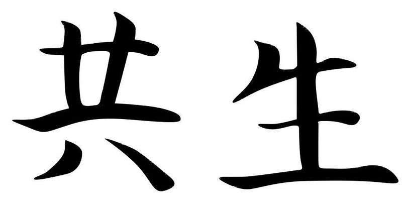 Kyosei som företagsfilosofi