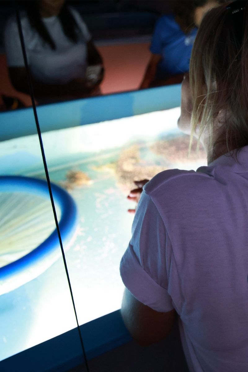 A person in a white shirt looks over a large, glowing blue tank containing coral specimens.