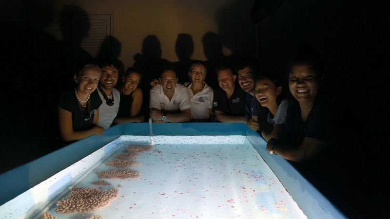Mud, sweat and magic: building Seychelles’ first coral spawning lab