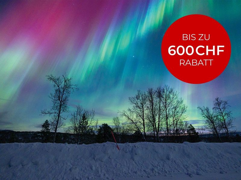 Momente, die bleiben – Jetzt Sparen!