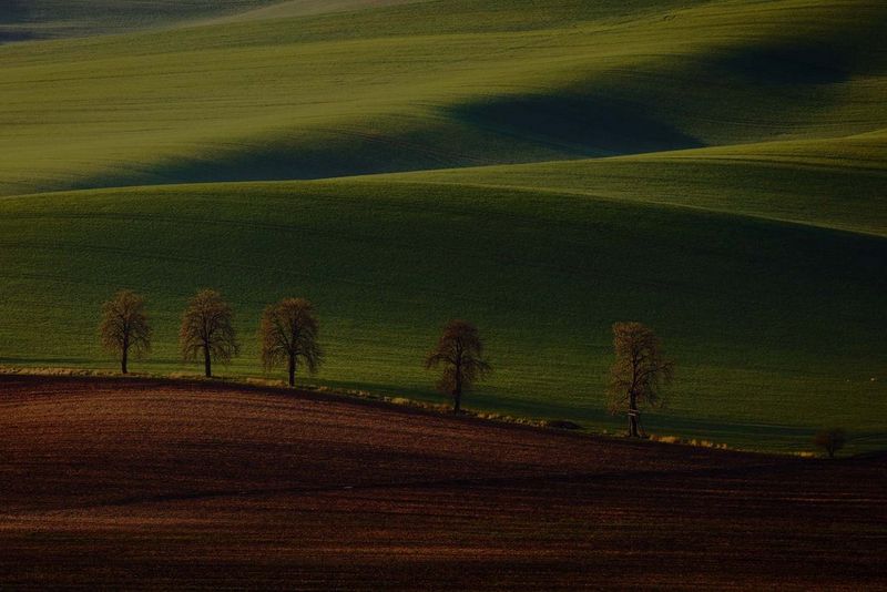 Program recyklace tonerových kazet společnosti Canon