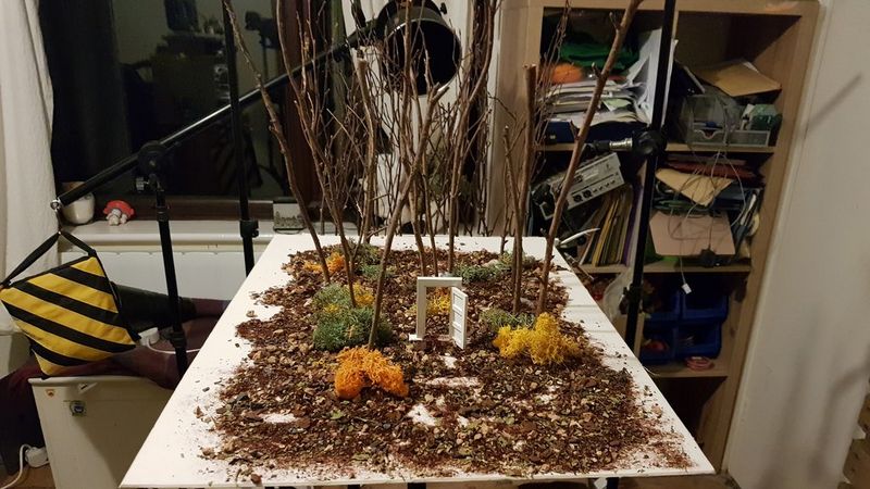 A behind the scenes shot of Robert’s little worlds. On a white table in a cluttered workshop sits an assortment of miniature shrubs, twigs and soil, as he recreates a woodland scene. In the centre of the table, among the assortment sits a tiny white door.  