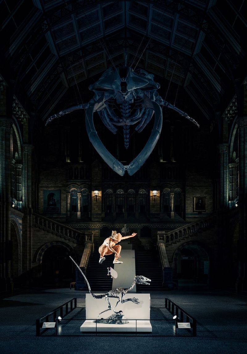 Una skater salta al di sopra dello scheletro di un Velociraptor posto sotto lo scheletro di una balenottera azzurra al Natural History Museum di Londra.
