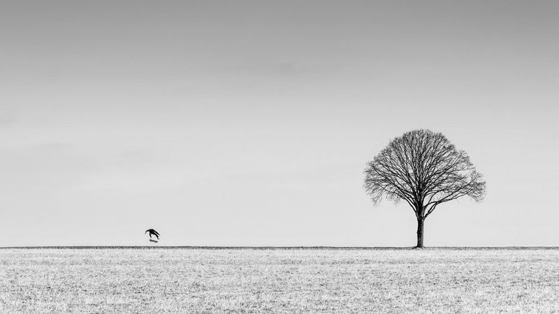 Creative sports action photography techniques