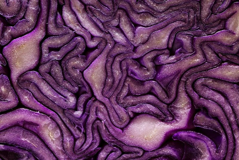 Запечатленная крупным планом краснокочанная капуста в разрезе. Снято на камеру Canon EOS R10 с объективом Canon RF 85mm F2 MACRO IS STM.