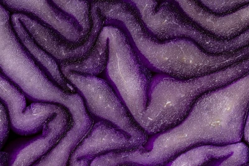A brightly lit close-up image of red cabbage taken by Matt Doogue on a Canon EOS R10.