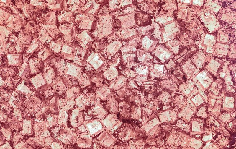 Запечатленные крупным планом в макрорежиме кристаллы сахара на фруктовой пастиле. Снято на камеру Canon EOS R10 с объективом Canon RF 100mm F2.8L MACRO IS USM.