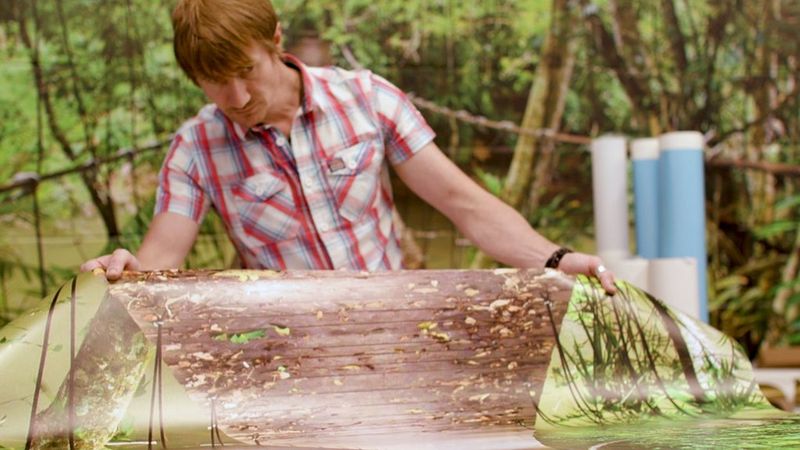 man printing a forest bridge wall paper