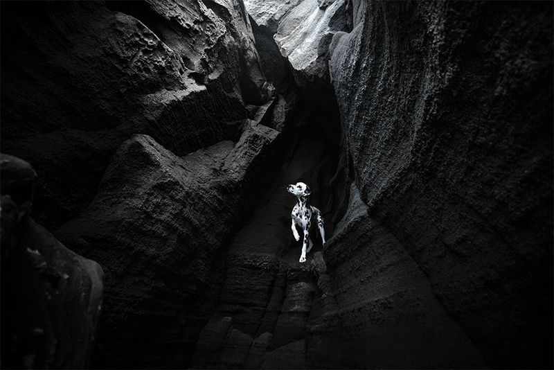 Impact visuel puissant