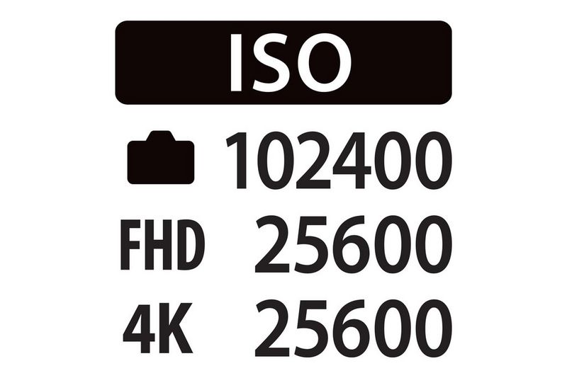 Max ISO 25600