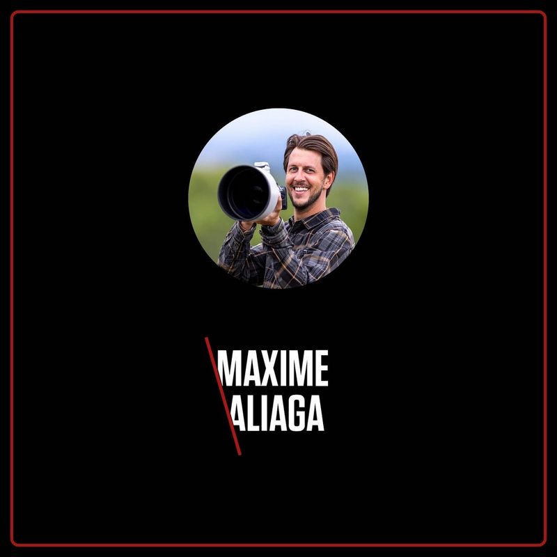 Découverte de la photographie animalière pour les plus jeunes de 7 à 77 ans