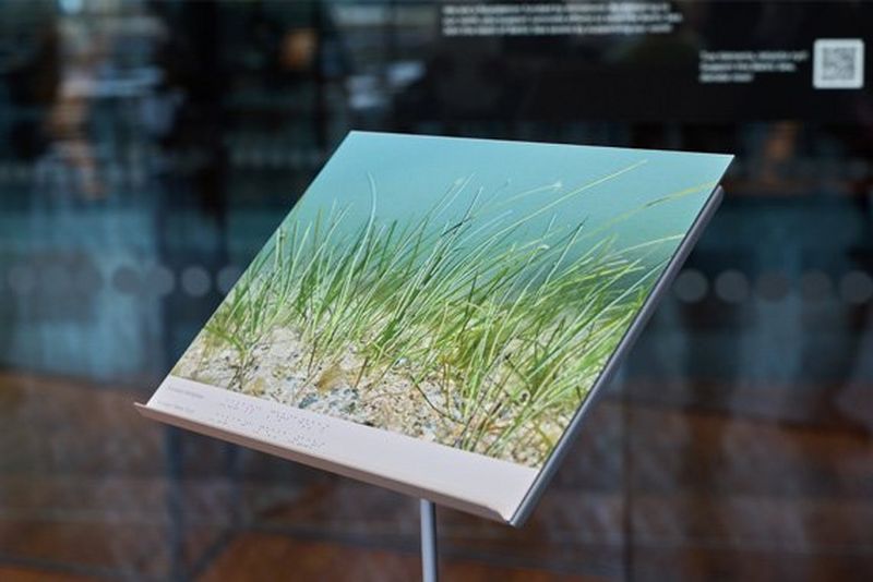 Merten kuva käsinkosketeltavana