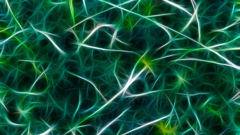 Meta-morphosis: how do we reach a metaverse state of mind?