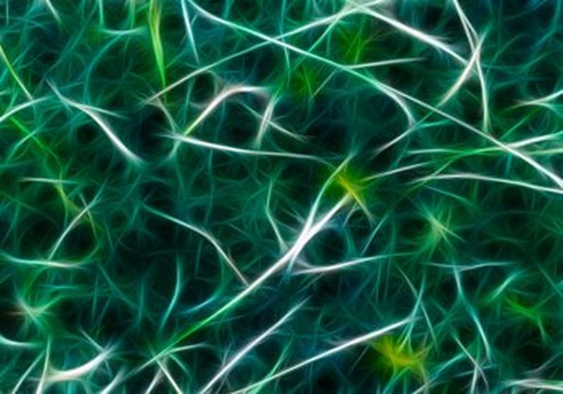 Meta-morphosis: how do we reach a metaverse state of mind?