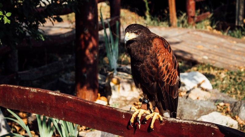 Милош Димковски – Продолжувајќи патување од 2014 година за прв пат