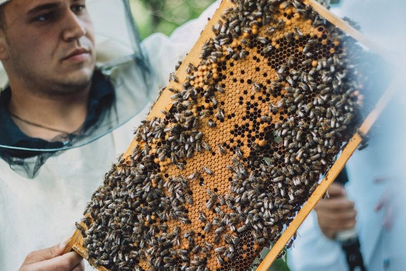Милош Димковски – Прв пат на вулканскиот кратер