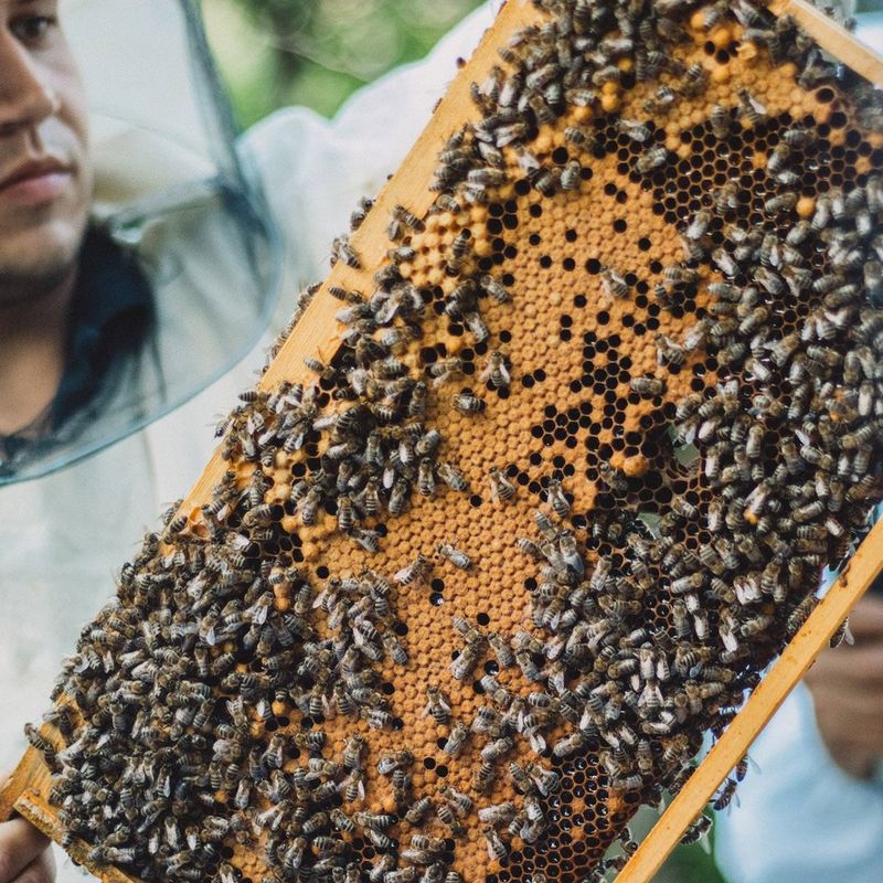 Милош Димковски – Прв пат на вулканскиот кратер