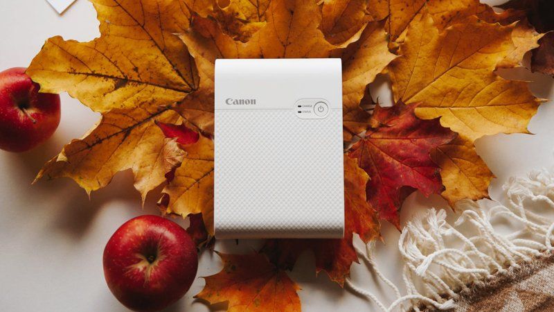 Drukarka dla fotografa ślubnego. Czego używają Malachite Meadow?