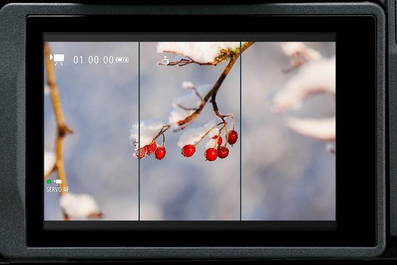 מסך ה-LCD של מצלמת Canon המציג סמני יחס רוחב-גובה ממסגר תקריב של ענף מכוסה שלג במרכז הצילום.