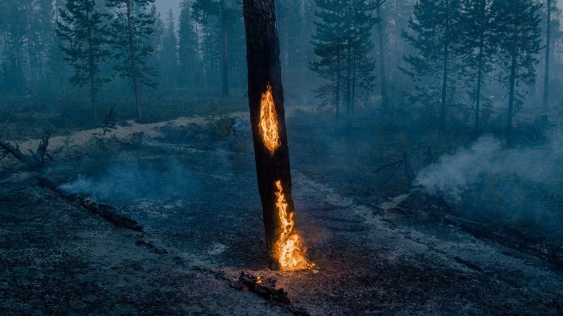 Nanna HEITMANN: “Quand la terre gelée brûle”