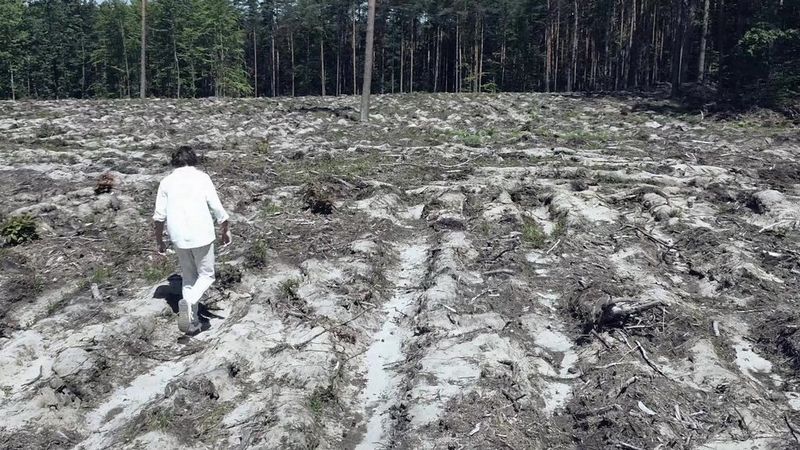 Wyróżnienie: Tymoteusz Frączek  Nasza planeta