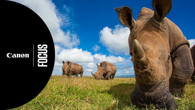 Att använda kameran i kamerafälla - Tom Svensson.