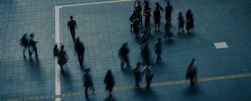 Skyline Network Security Cameras