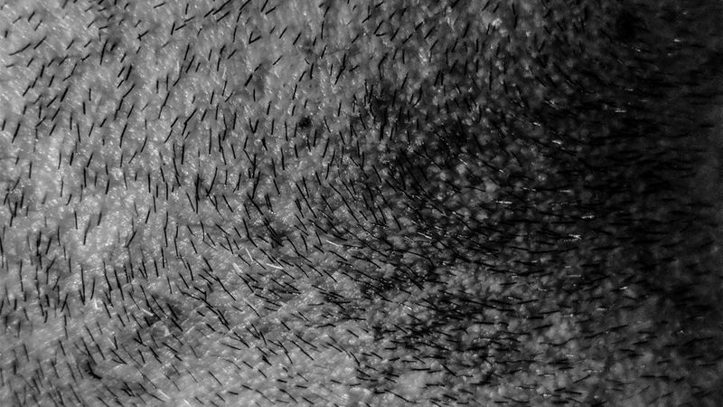 Unexpected conversations on peace bring us closer