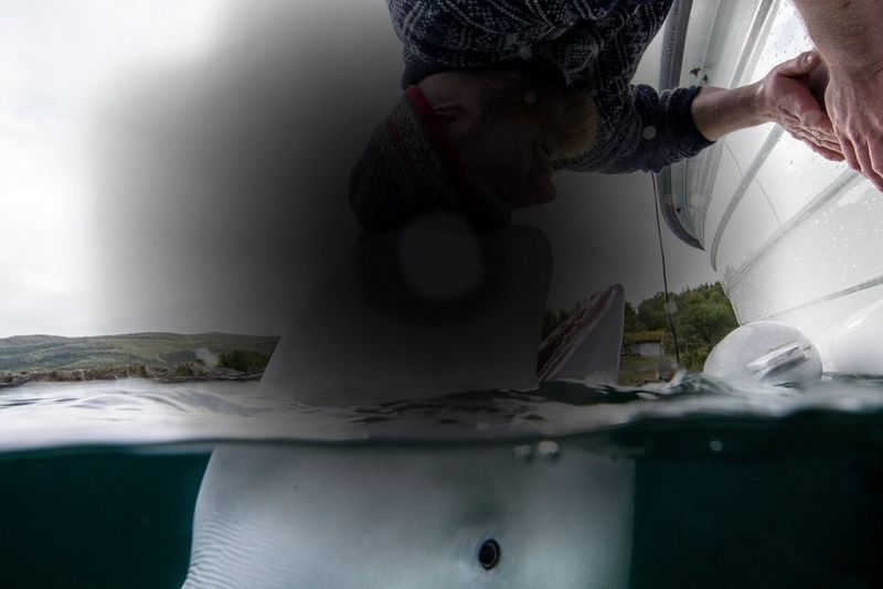 Fotografia "Love" di Aleksander Nordahl con simulazione di degenerazione maculare legata all'età in fase precoce