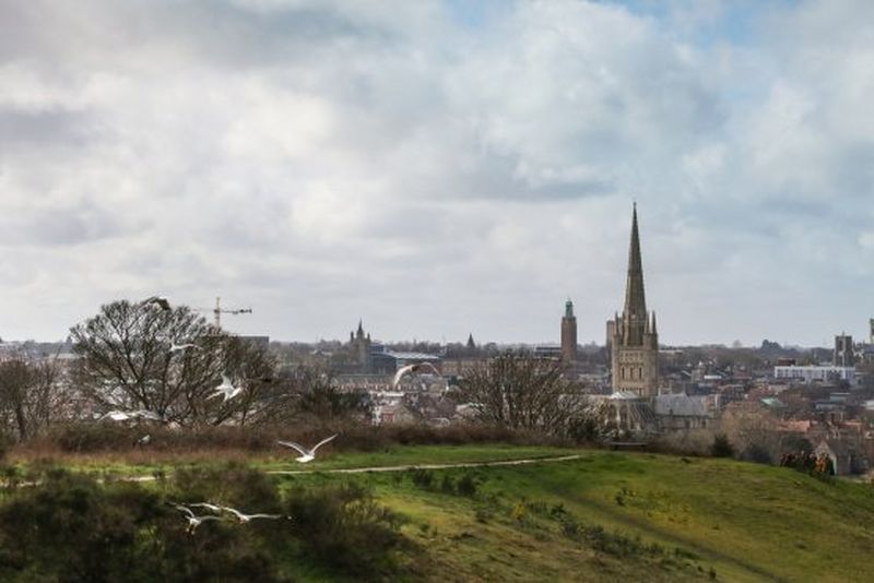 Reset, Reform, Renew & Resilient