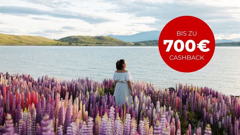 Sommer Cashback