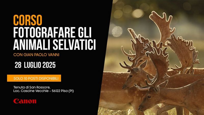 [28- 07-2025] Corso di fotografia naturalistica con OLLO Store