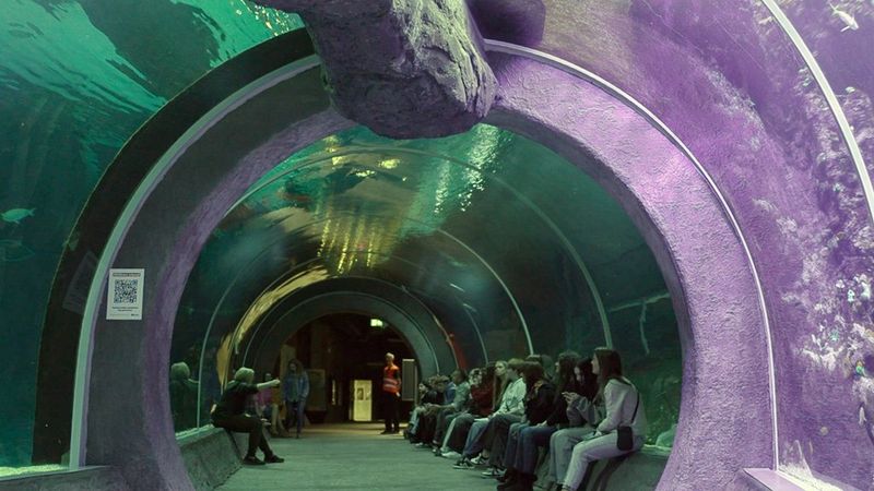 Rafy koralowe w Orientarium w Łodzi