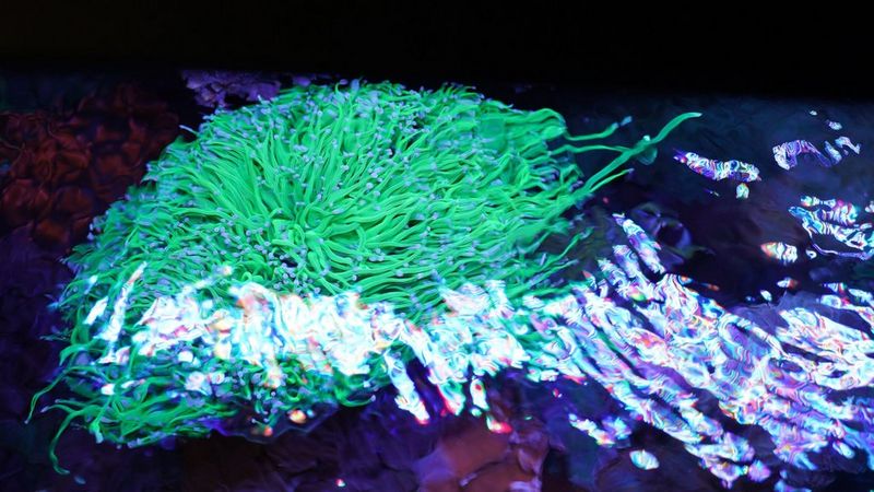 Film na temat wizyty Canon w Orientarium Łódź