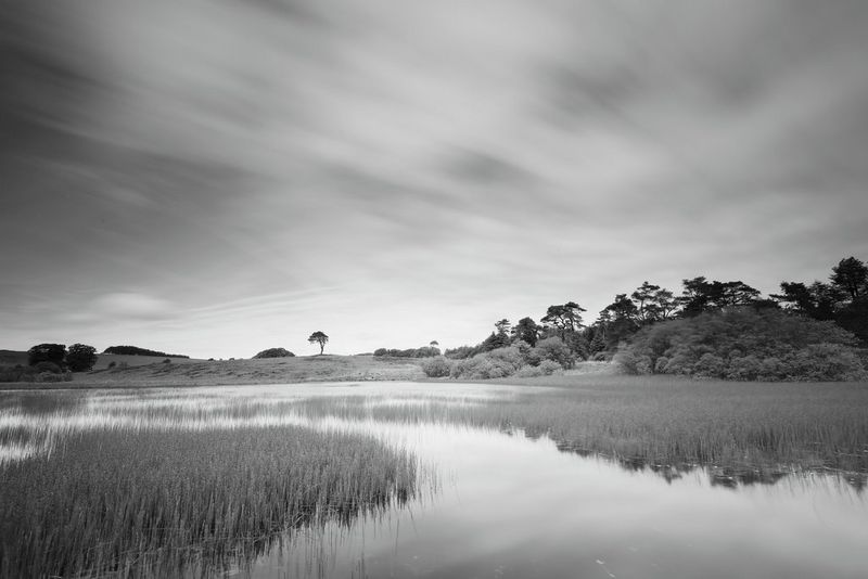 The same image of a landscape but in monochrome with no filter applied.