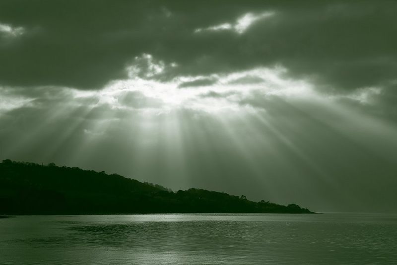 The same image with green toning.