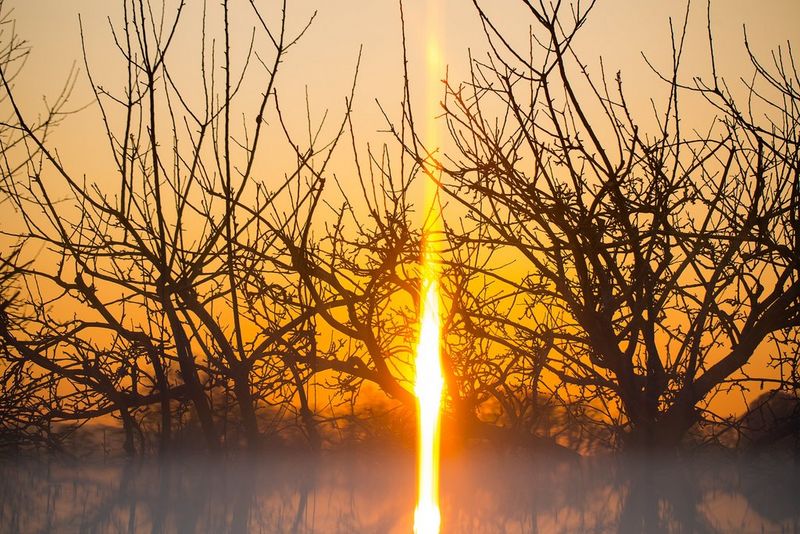 Billede af en solnedgang bag et træ, hvor der bruges en prisme til kreativ effekt.