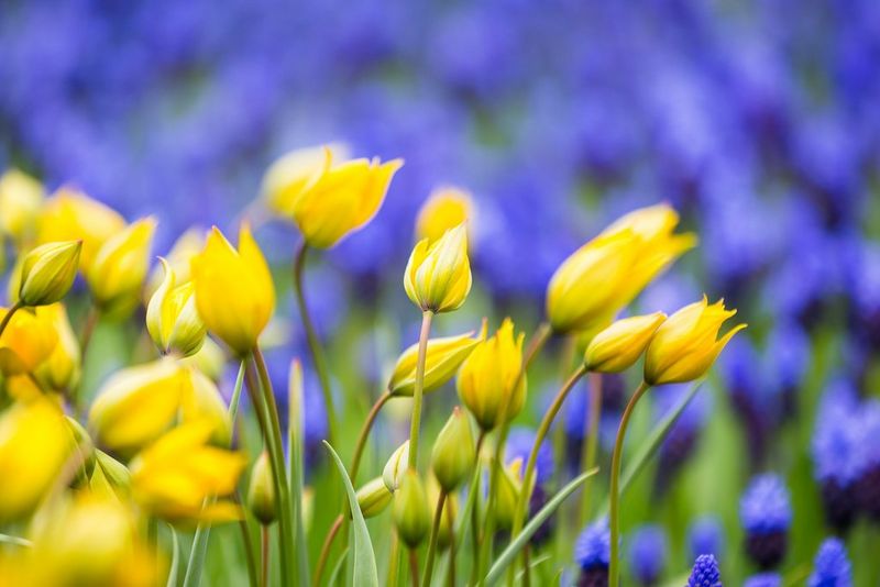 exciting easter saves  27th march– 16th april 2024