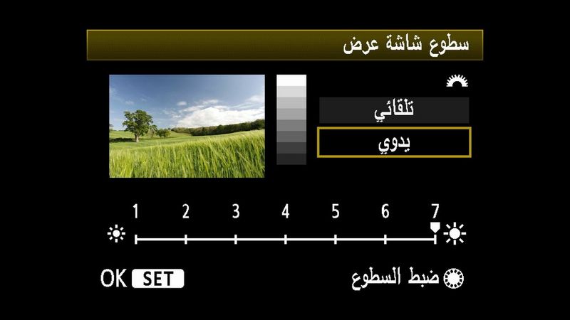PCA - Live View Vs Viewfinder - live-view-v-viewfinder-brightness-arabic copy.jpg