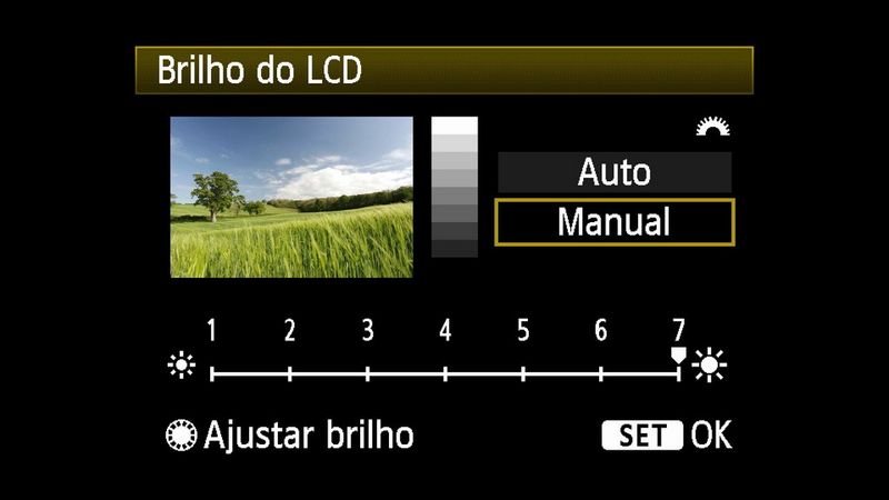 PCA - Live View Vs Viewfinder - live-view-v-viewfinder-brightness-portugese copy.jpg