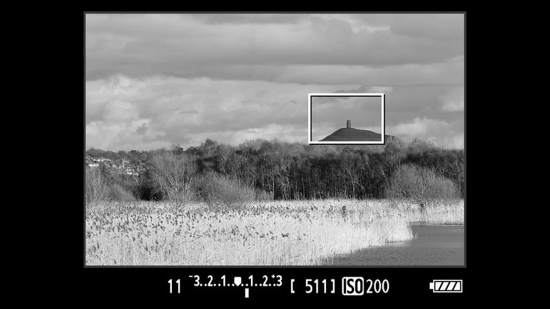 The same image with different filters applied, seen in Live View mode.