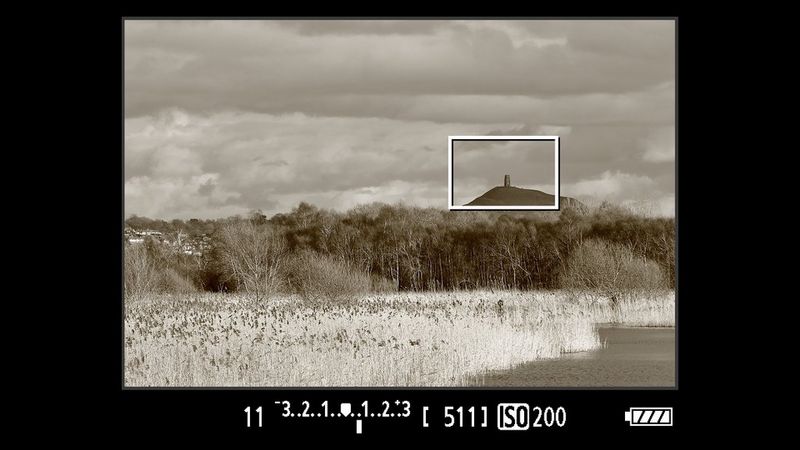 The same image with different filters applied, seen in Live View mode.