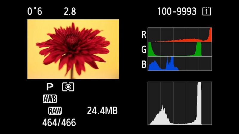 Uno scatto di un fiore rosso sul display LCD di una fotocamera, con gli istogrammi dei canali RGB oltre all'istogramma di luminosità.