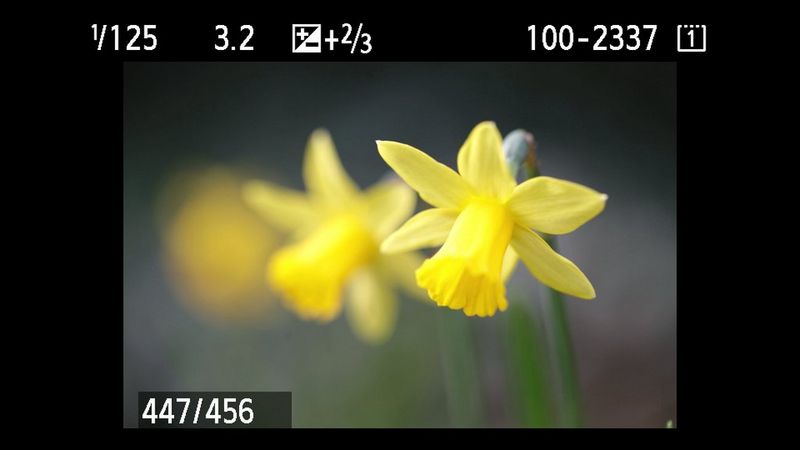 PCA exercise best exposure getting-the-best-exposure-reviewing copy