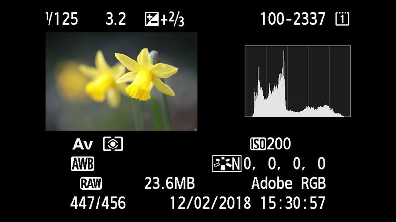 Posnetek zaslona fotoaparata Canon, ki prikazuje fotografijo narcis z informacijami o nastavitvah in histogramom.